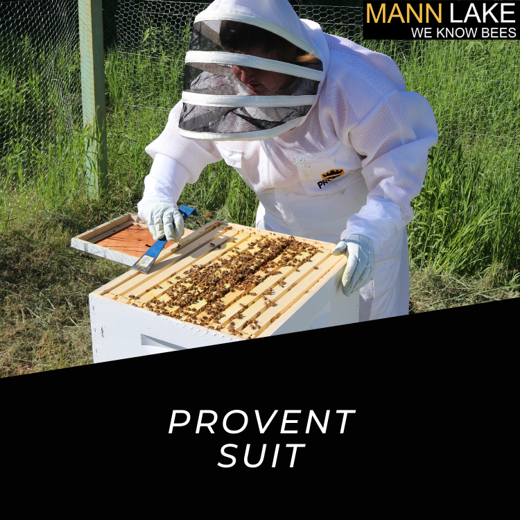 white bee suit for protection