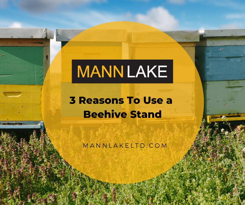 3 Reasons to use a beehive stand