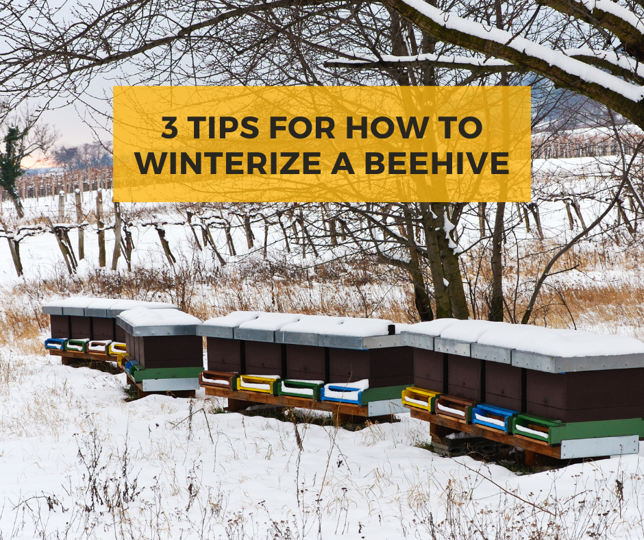 Tips For How To Winterize A Beehive, Mann Lake Ltd