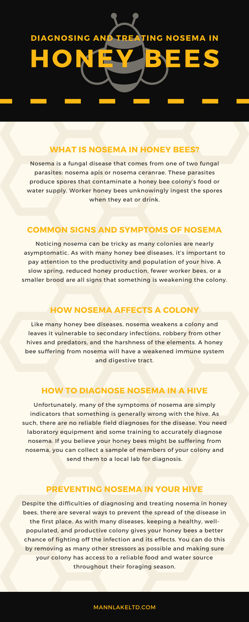 Diagnosing And Treating Nosema In Honey Bees, Mann Lake