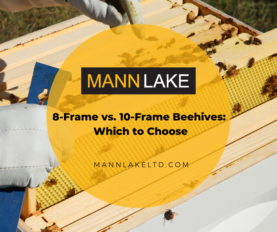 8-Frame vs. 10-Frame Beehives, Mann lake
