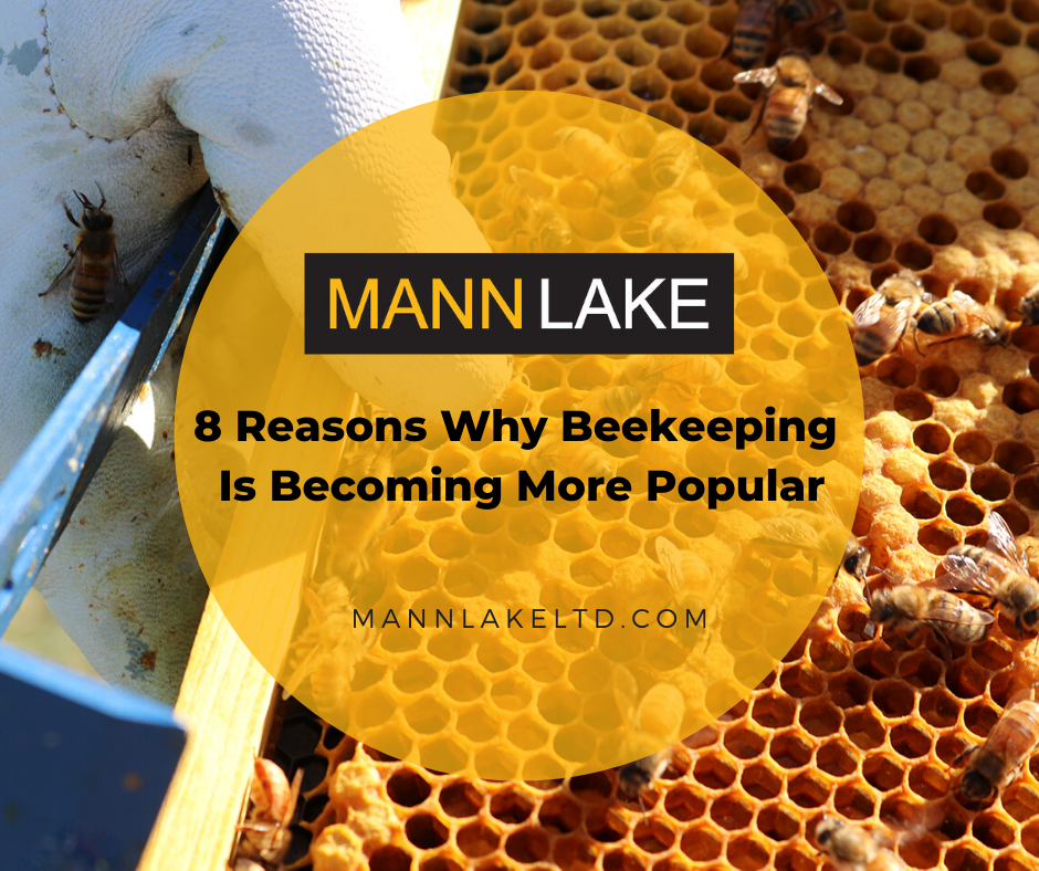 8 Things To Know AboutBeekeeper Suits