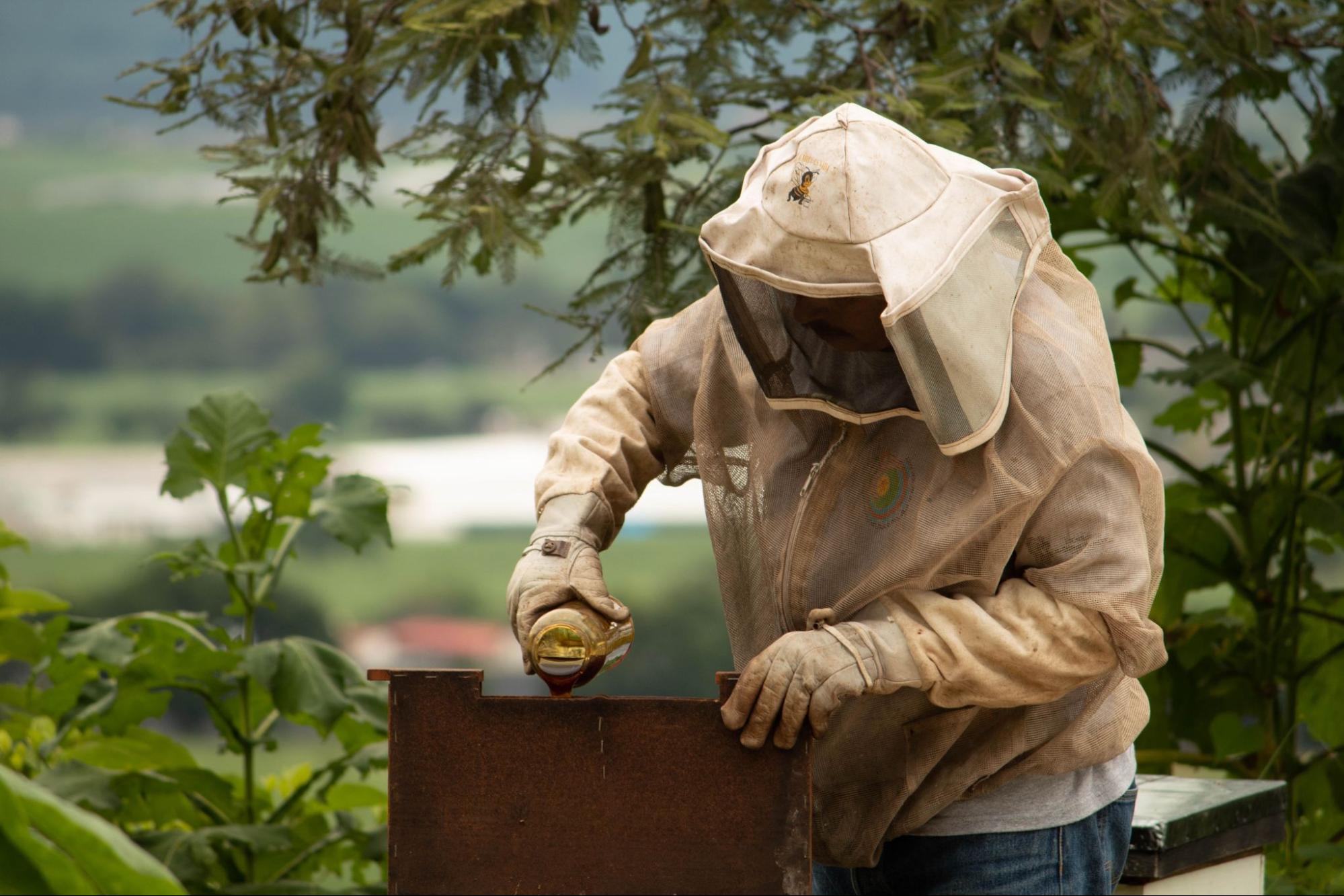 Beekeeper in protective suit pouring honey into container with bee on sleeve against green landscape background