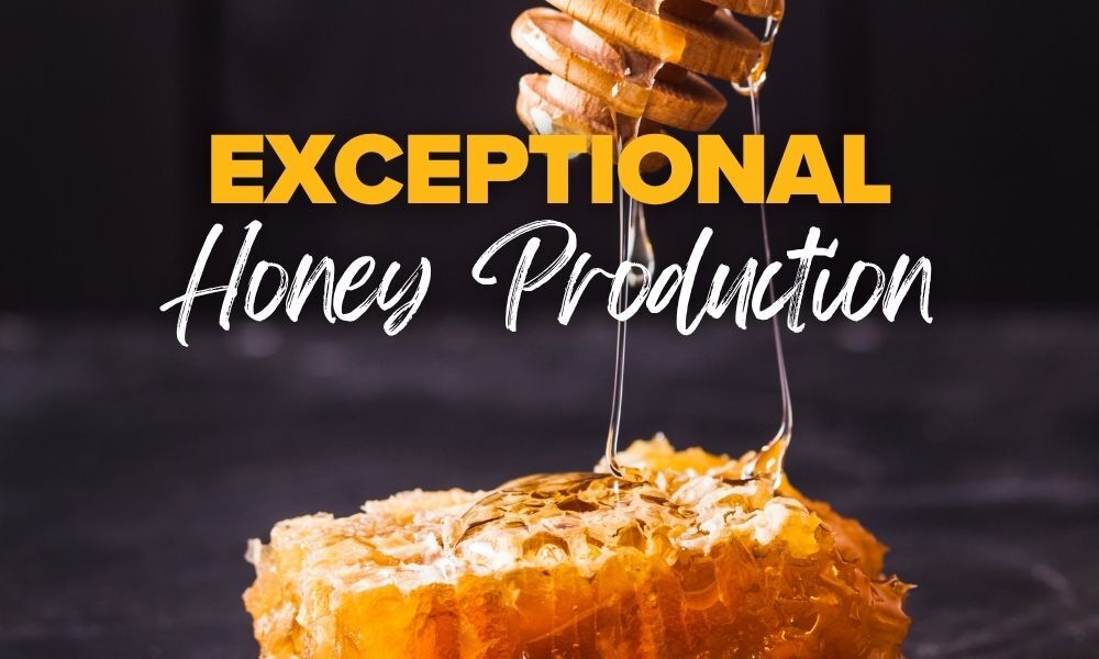 Exceptional Honey Production of Buckfast Bees Exceptional Honey Production of Buckfast Bees