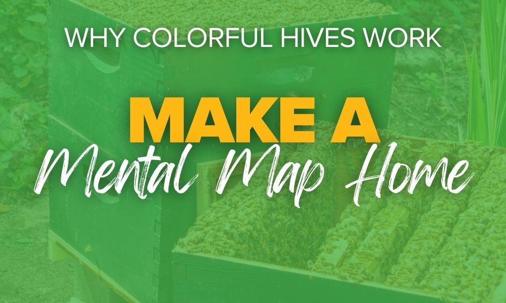 Why Colorful Hives work. Make a mental map home