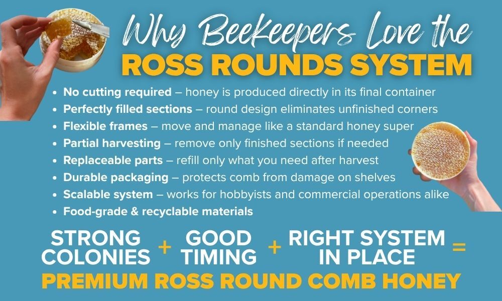 Ross Rounds Graphic