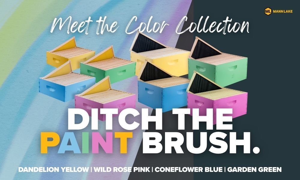 Ditch the paint brush, meet our Color Collection boxes