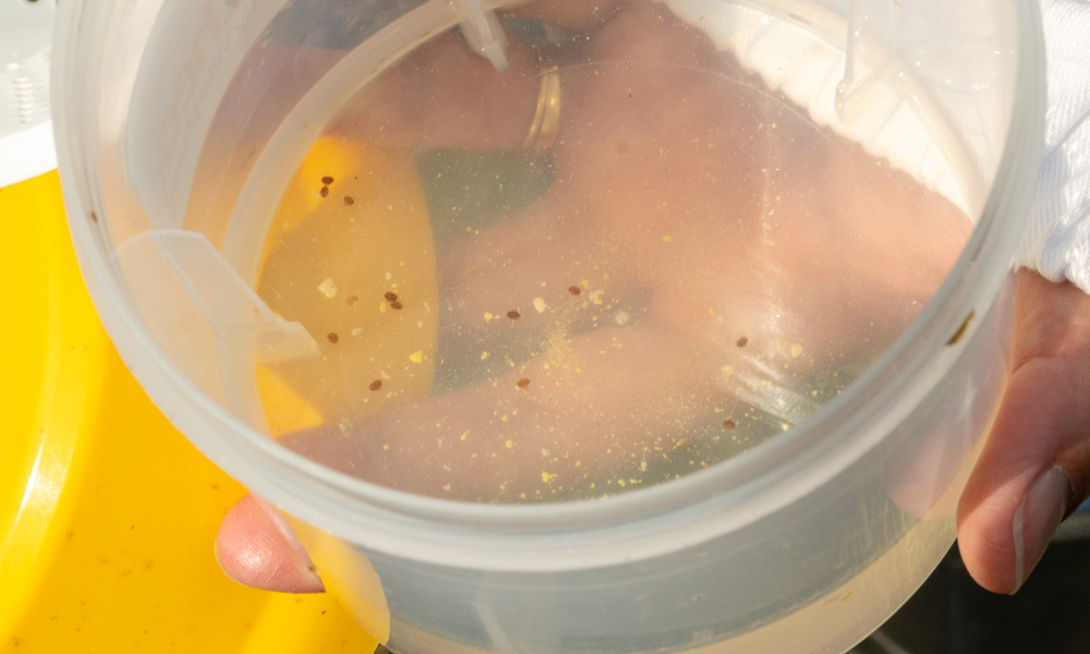 dc671-mann-lake-easy-check-with-mites-02.jpg
