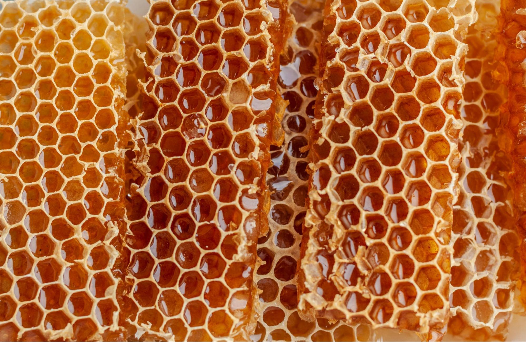 natural honeycomb with honey drops