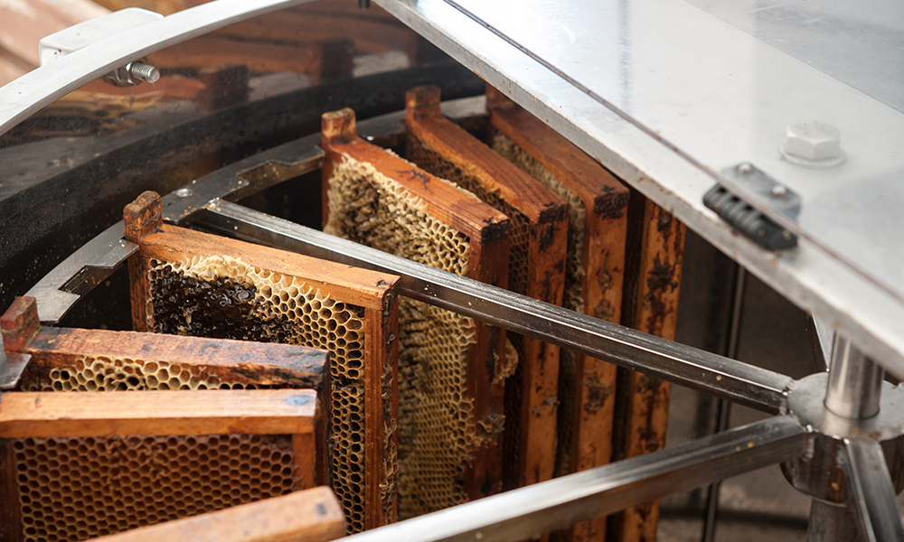 Honey Extractor with Full Frames of Honey
