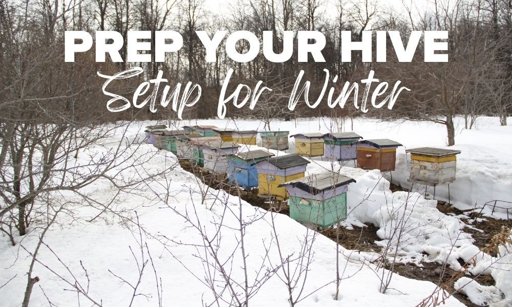 Prep Your Hive, Setup for Winter