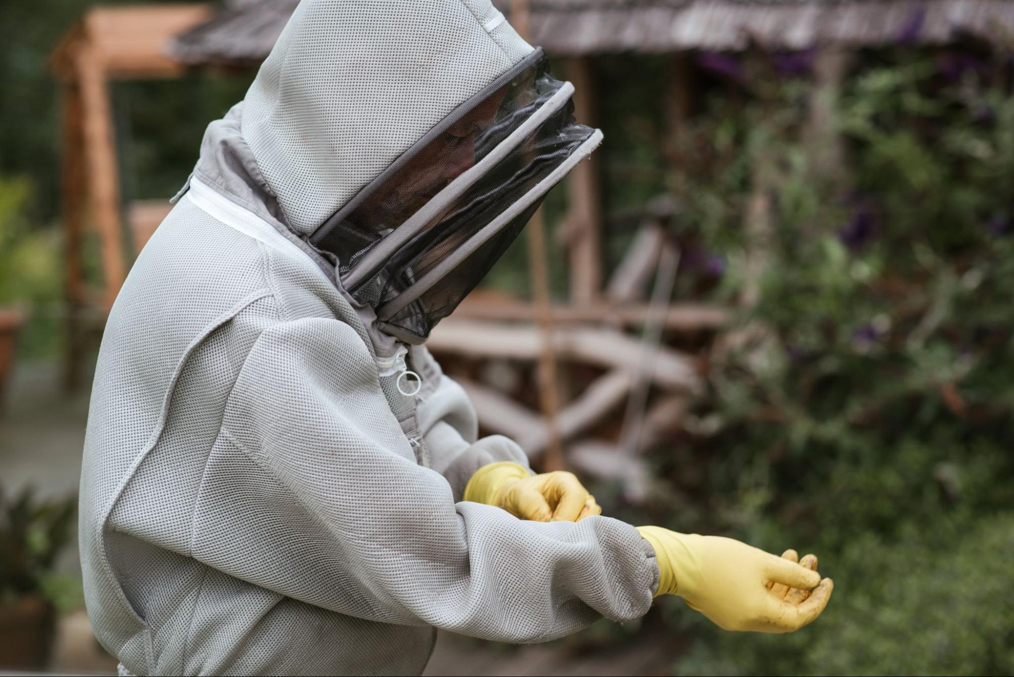 beekeeper in protective suit