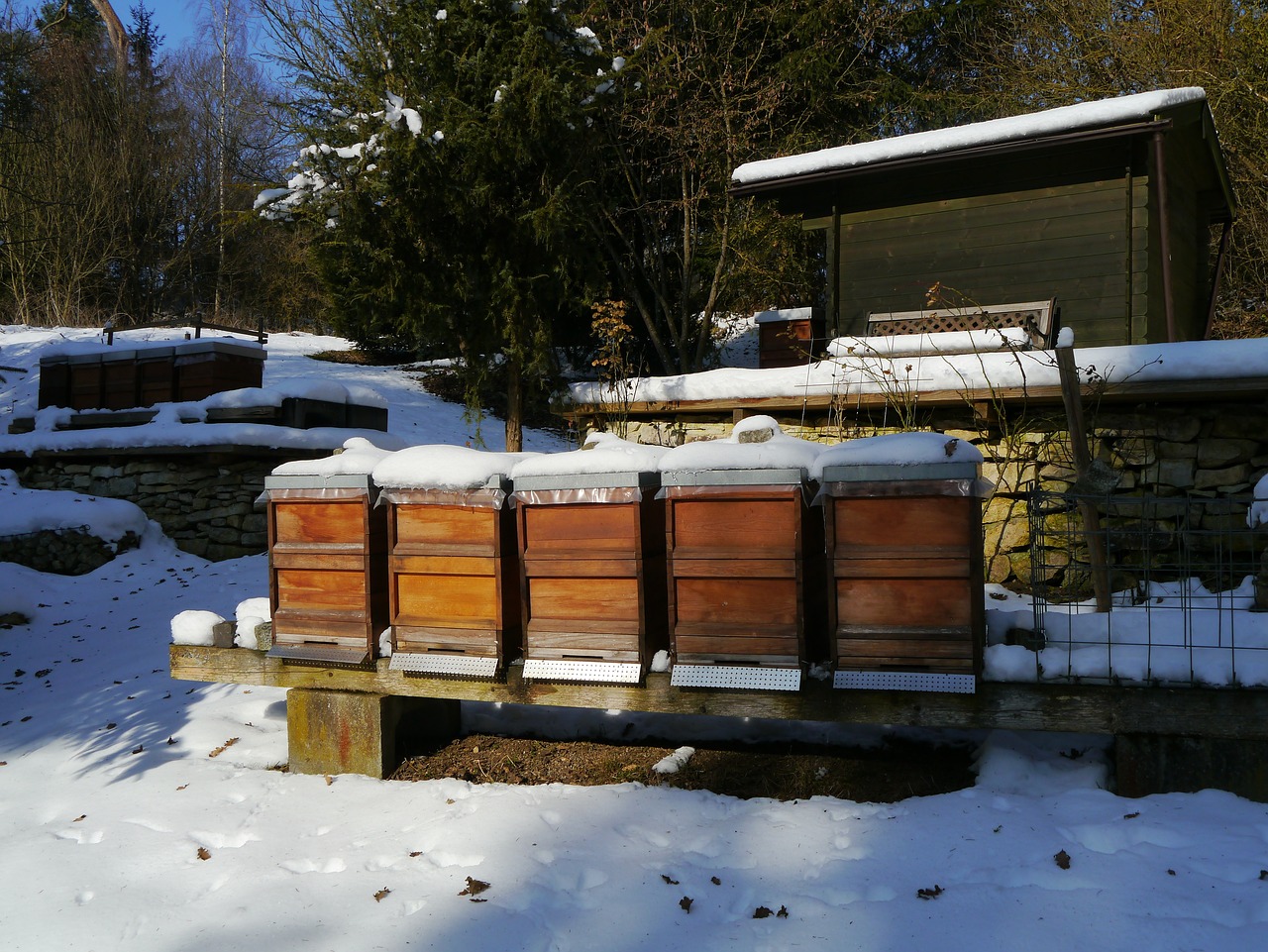 wooden beehives covered in snow