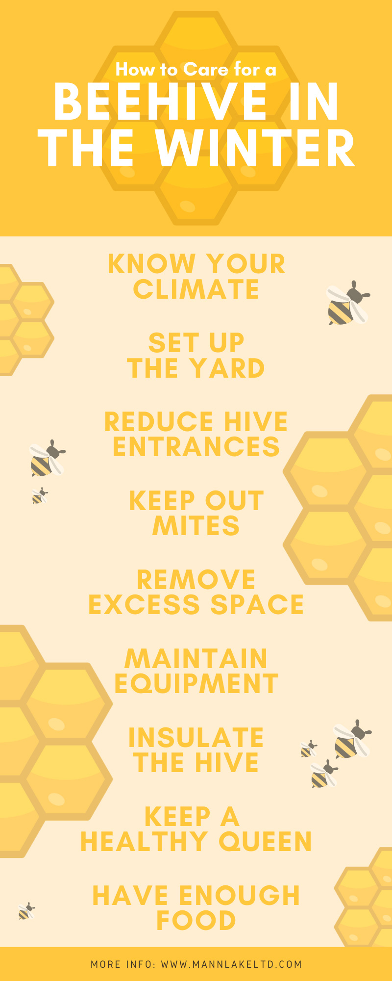 How To Care For A Beehive In The Winter