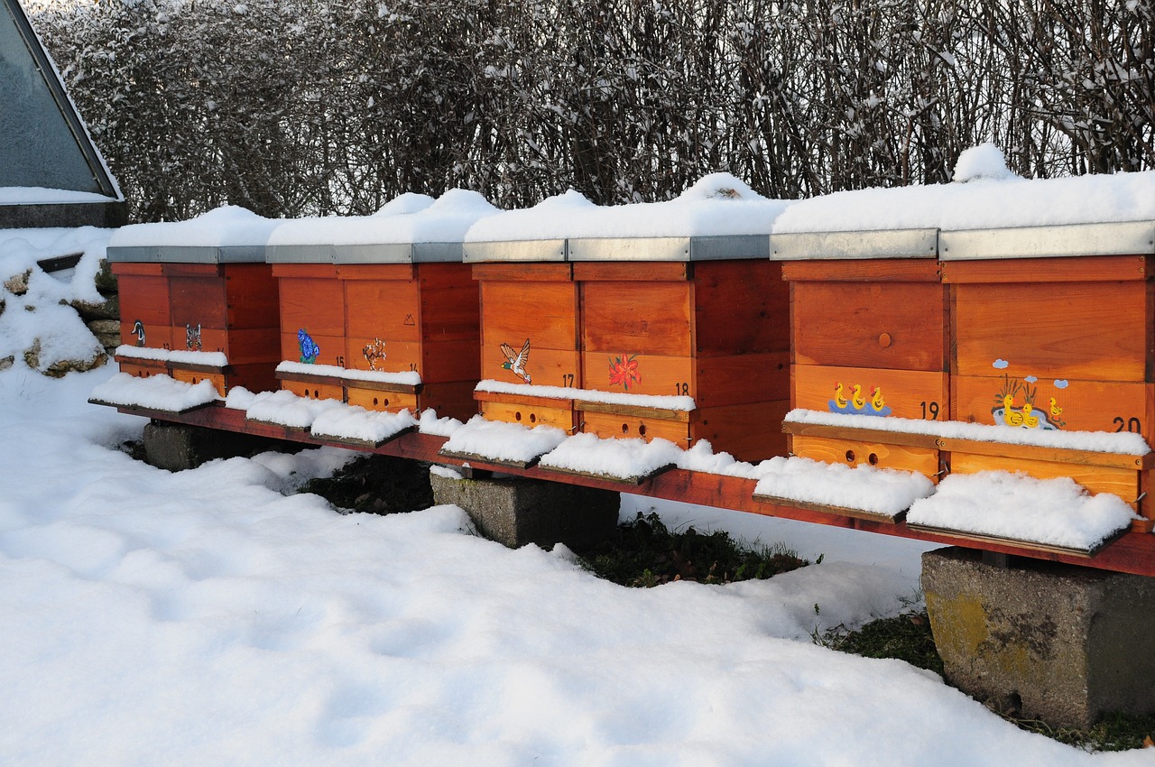row of wooden beehives with snow on top