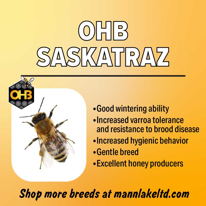 Saskatraz Honey Bees For Sale Mann Lake mannlakeltd.com