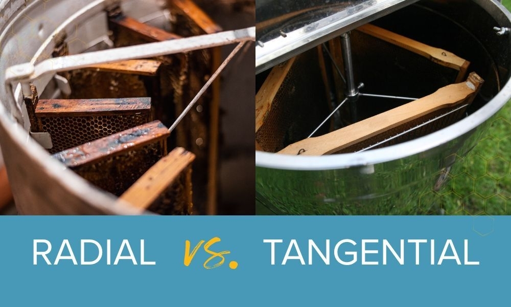 Radial vs Tangential Honey Extractor