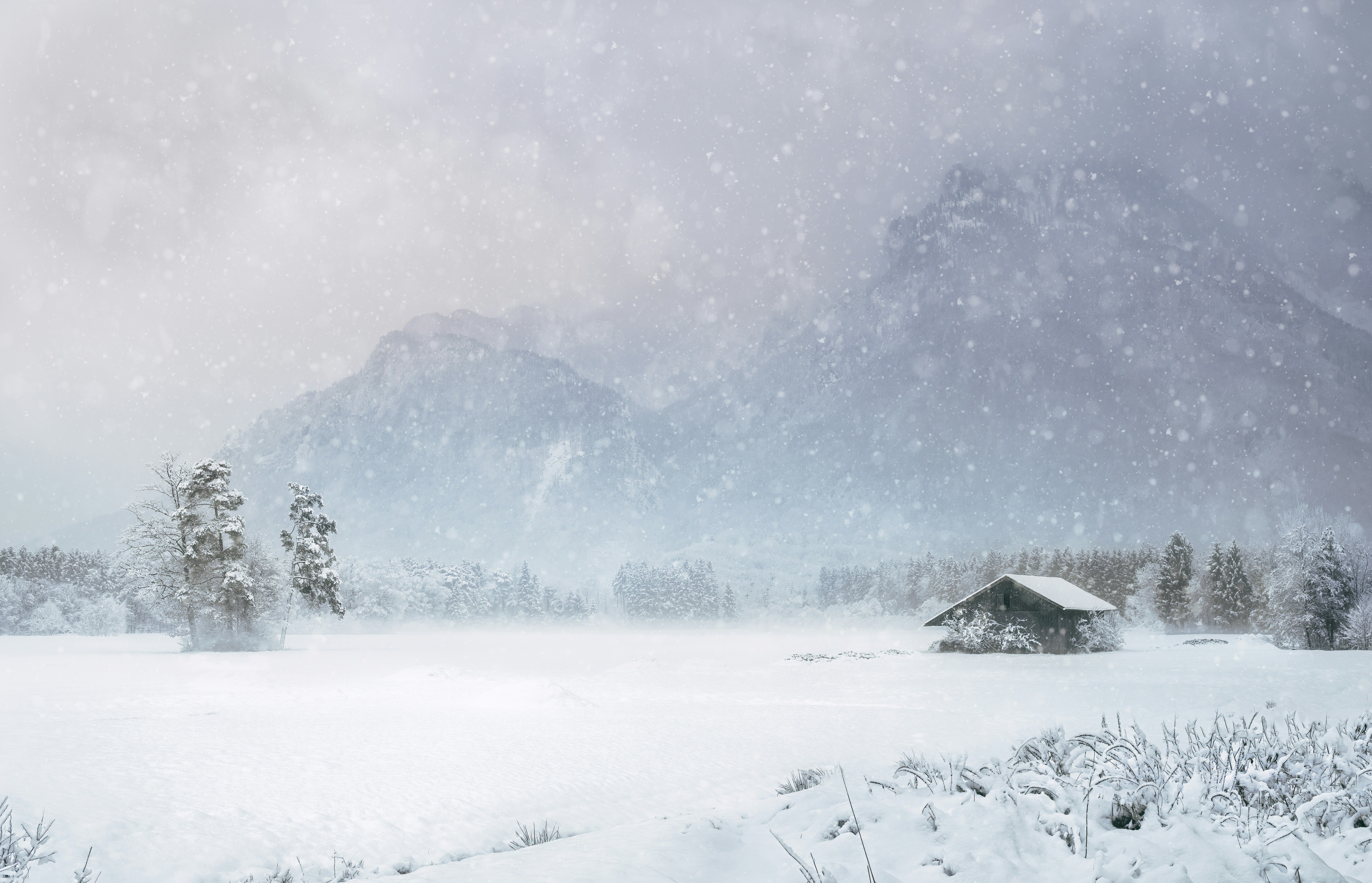 Snow-covered landscape with a small cabin amidst a blizzard and mountain backdrop