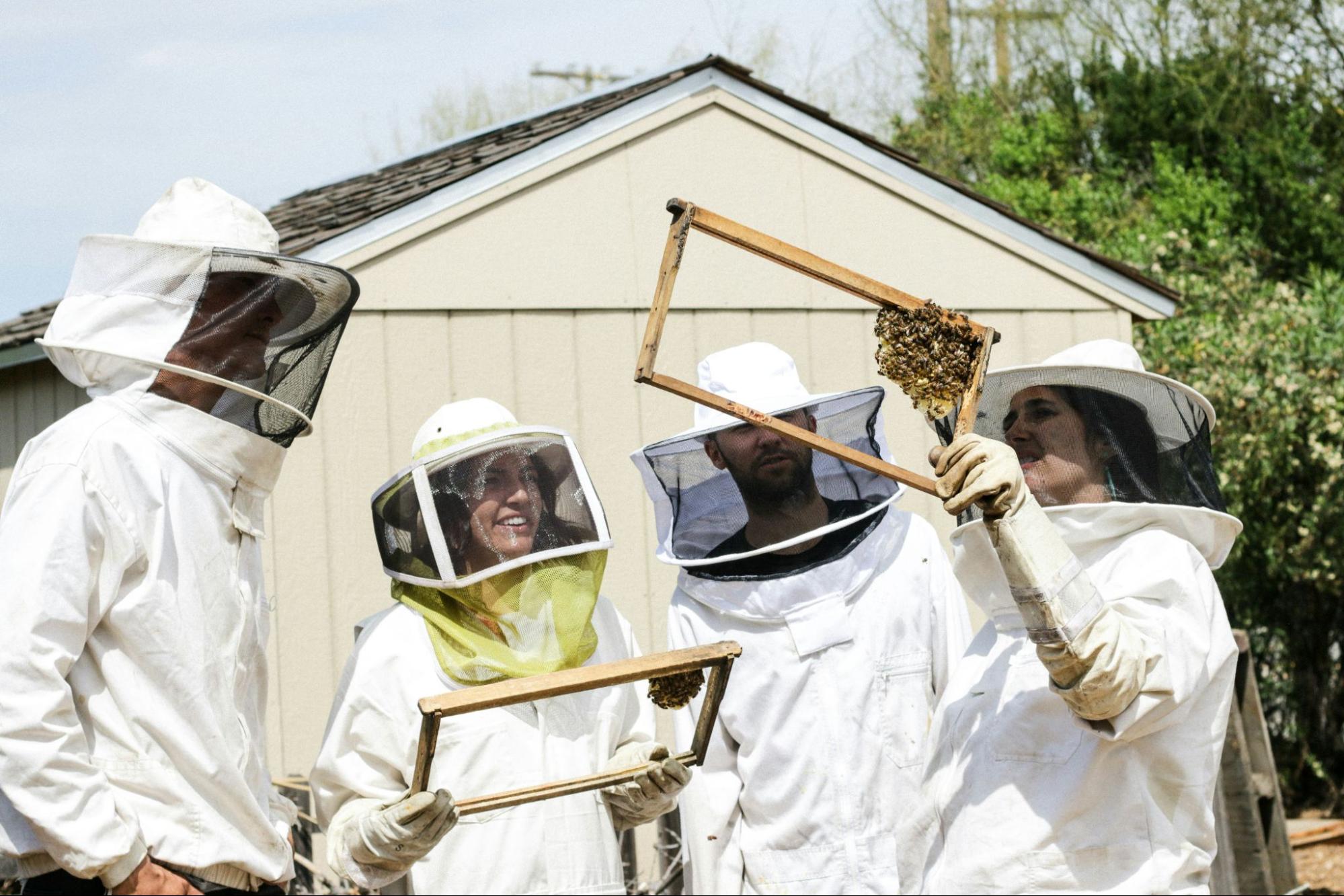 beekeepers inspecting honeycomb frames