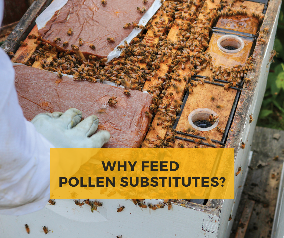 Feed Pollen Substitutes, Mann lake